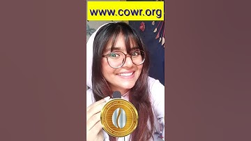 Newcowrie can be our next unicorn crypto?