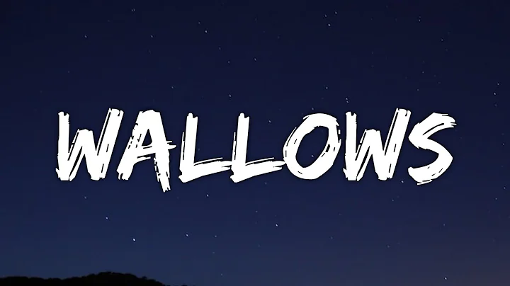 Tommy Docherty - WALLOWS (Lyrics) (From The Next 3...