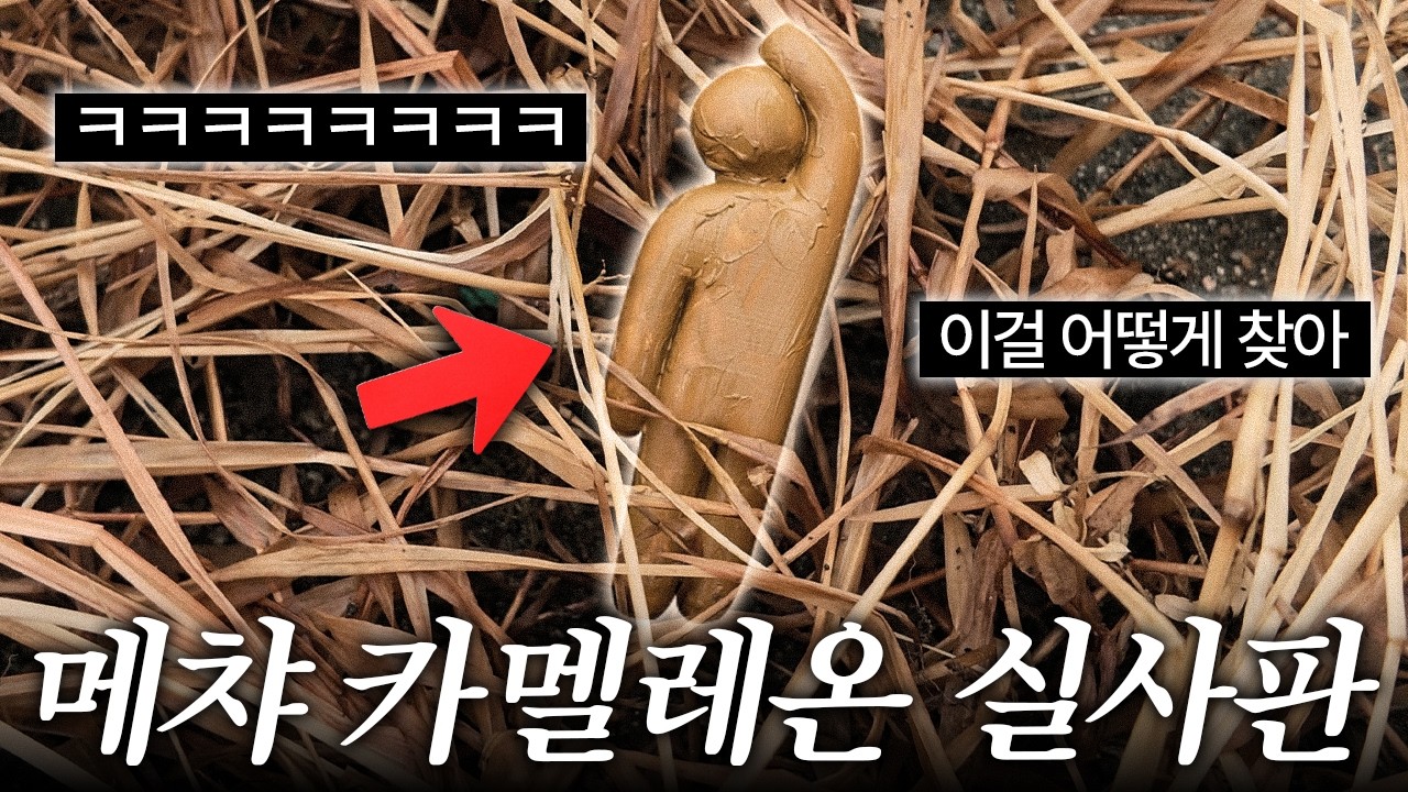 다른 유튜버분들과 메챠 카멜레온 실제로 해봤습니다