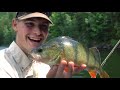 FISCH& FANG | DER RAUBFISCH Ködertest: PROREX Mini Popper & Pencil Bait