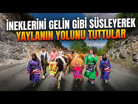 Trabzon'un Şalpazarı ilçesinde geleneksel yayla göçü başladı