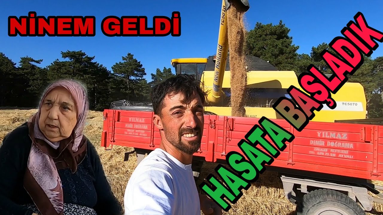 ARPA BUĞDAY HASATINA BAŞLADIK~DURUM KÖTÜ~NİNEM GELDİ