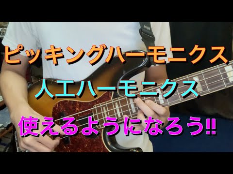 【ベースレッスン / ハーモニクス講座♯2】ピッキングハーモニクスと人工ハーモニクスを使おう!! Japanese Bass Lesson