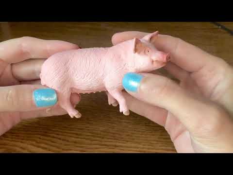 1. Обзор фигурки Schleich Домашняя Свинья (2014. арт. 13782)