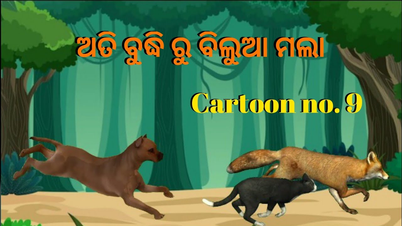 odia animals english odia animals english