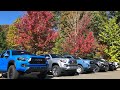 Comparing All 2019 Tacoma Trim Levels: How to Choose Yours!