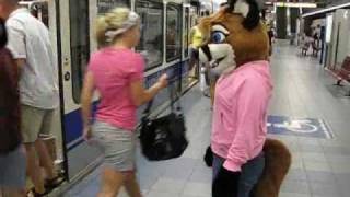 Fox Vixen Fursuitgetting On The Subway Train