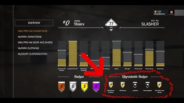HOW TO GET ALL FIVE SLASHER BADGES!!!! (NBA 2K17)