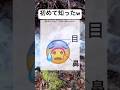 もうそれにしか見えなくなったwwww#shorts#絵文字#面白い#顔#びっくり#画像