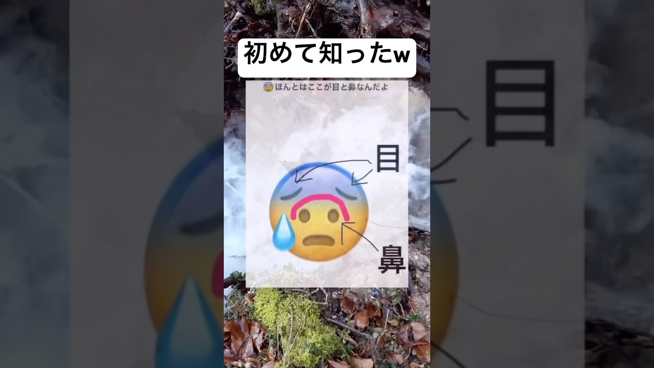 もうそれにしか見えなくなったwwww#shorts#絵文字#面白い#顔#びっくり#画像