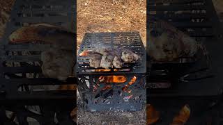 Elevate your outdoor adventures with the Doppio Living Campfire Grill Kit!