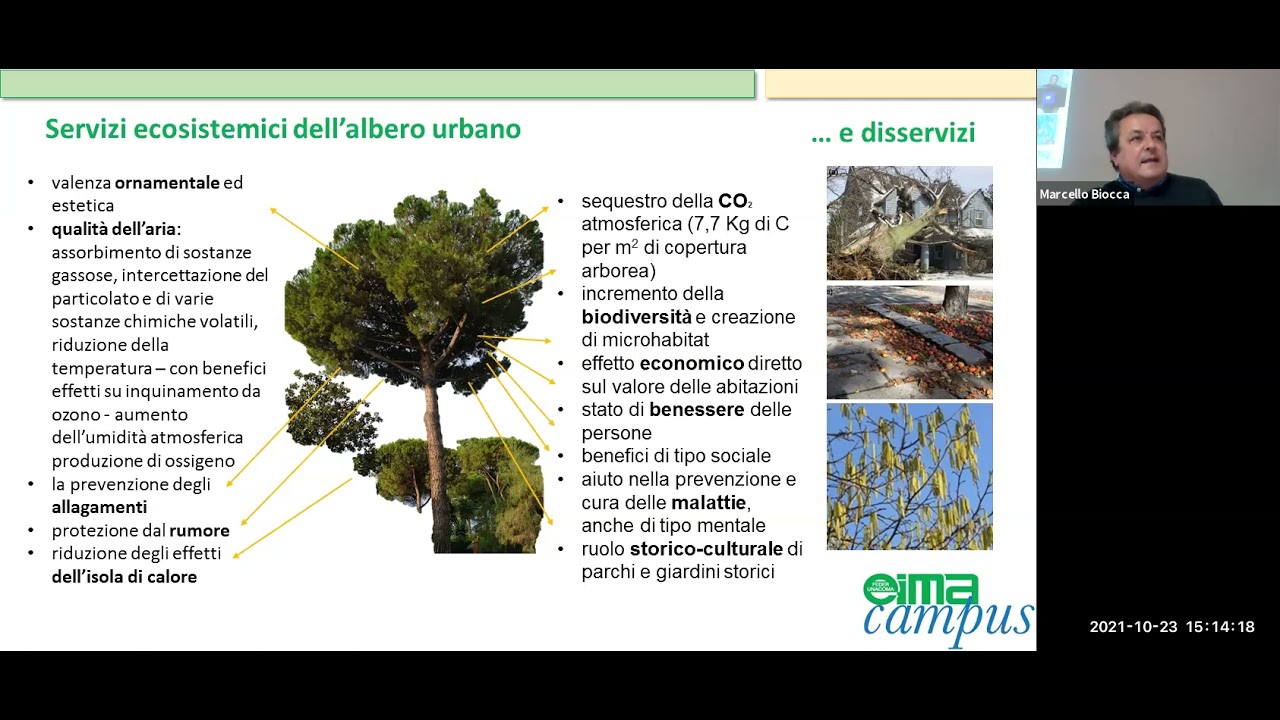 Lezione: Gestione del verde urbano arboreo elementi di tecnica, attrezzature e sicurezza del lavoro