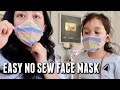 I Followed a No Sew Face Mask Tutorial - itsjudyslife