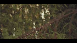 ITUTULOG NA LANG | THE JUANS | CINEMATIC VIDEO