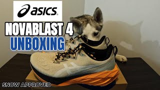 Asics Novablast 4 TR : Unboxing and first Impression with my Husky #asics #running #AsicsNovablast4