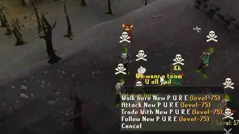 #1 pking rsps webclient