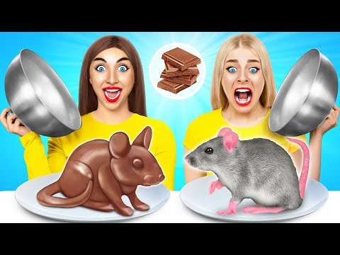 الغذاء الحقيقي مقابل الغذاء الشوكولاته التحدي 9 Multi DO Challenge 