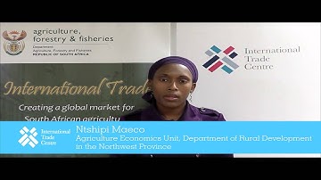 ITC-South Africa: Export Markets Research Training Programme
