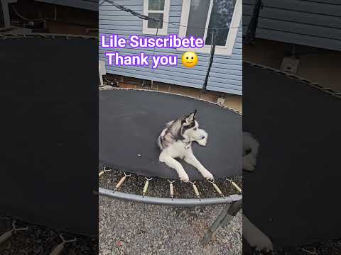 23 De Septiembre De 2025