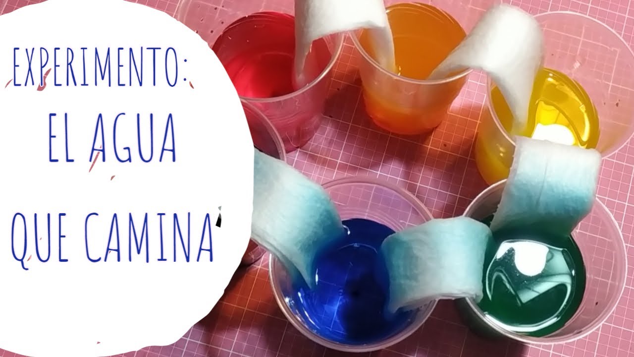EXPERIMENTO: EL AGUA QUE CAMINA - YouTube