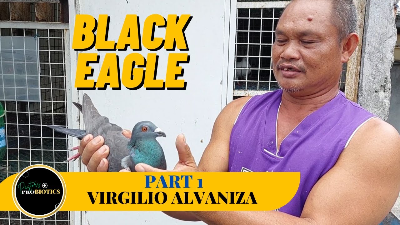 Loft visit sa isang beteranong fancier sa Apalit, Pampanga!