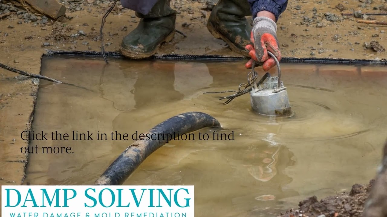 Call Damp Solving Water & Mold In Orlando For Timely Fire Damage Restorations