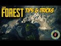 HOW TO JUMP INTO THE SINKHOLE AND LIVE (BUG FIXED) - The Forest Tips & Tricks