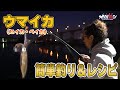 【ヒイカ釣り&激旨レシピ】美味しいからどんどん釣りたい!簡単ベイカ釣り&激ウマ簡単レシピ!【地球遊び193】