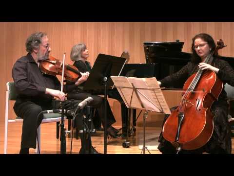 Brahms Piano Trio in A minor 1st Movement