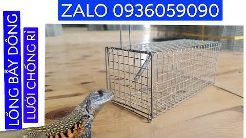 Bán lồng chuyên bẫy dông cát. Bán lồng bẫy nhông cát. Bán lồng bẫy sóc. Bán lồng bẫy cống nhum.