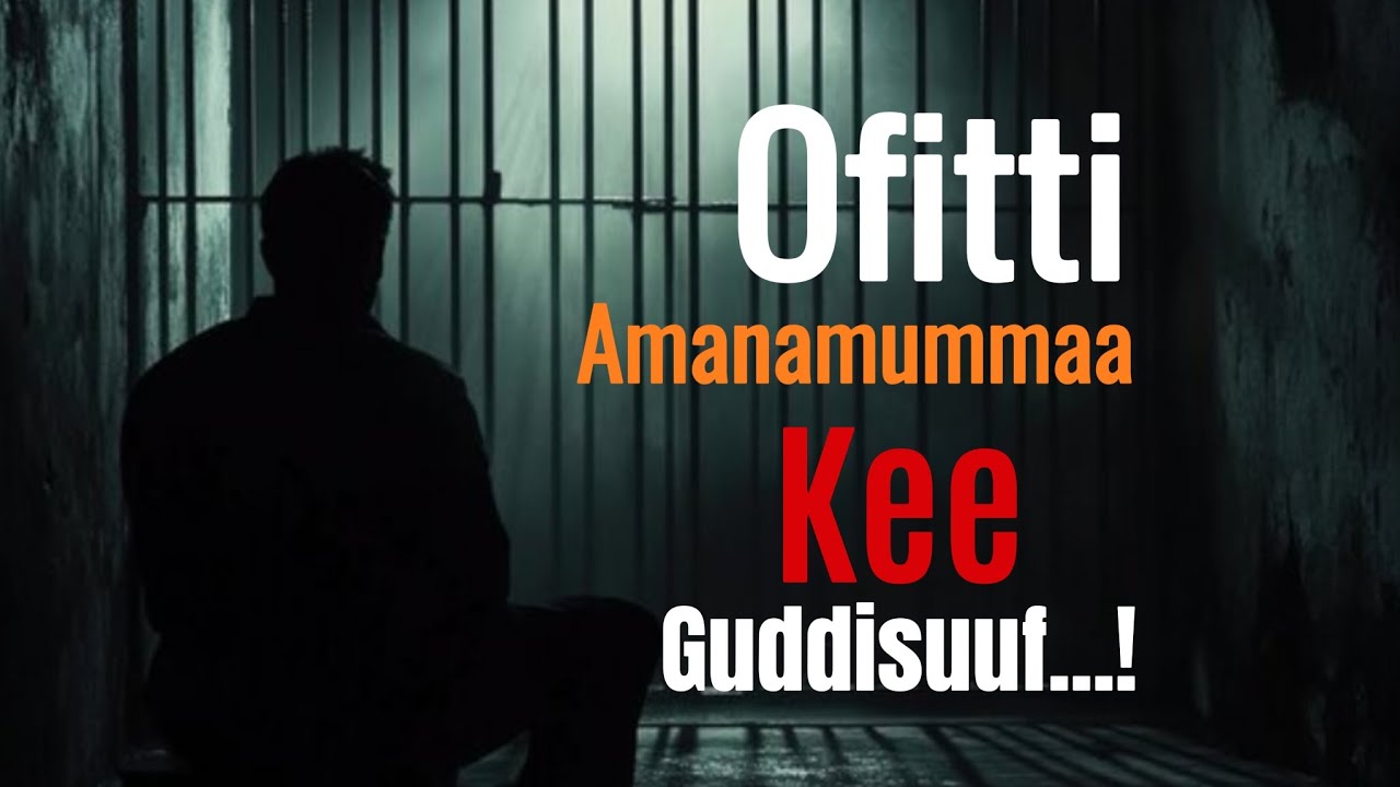 Ofitti Amanamummaa Guddiffachuuf!