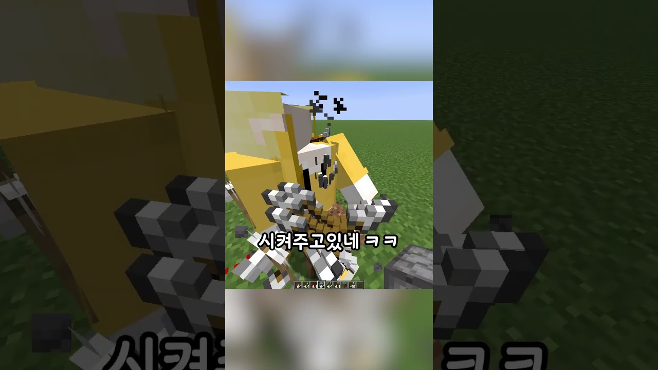 마포는 화살입니다