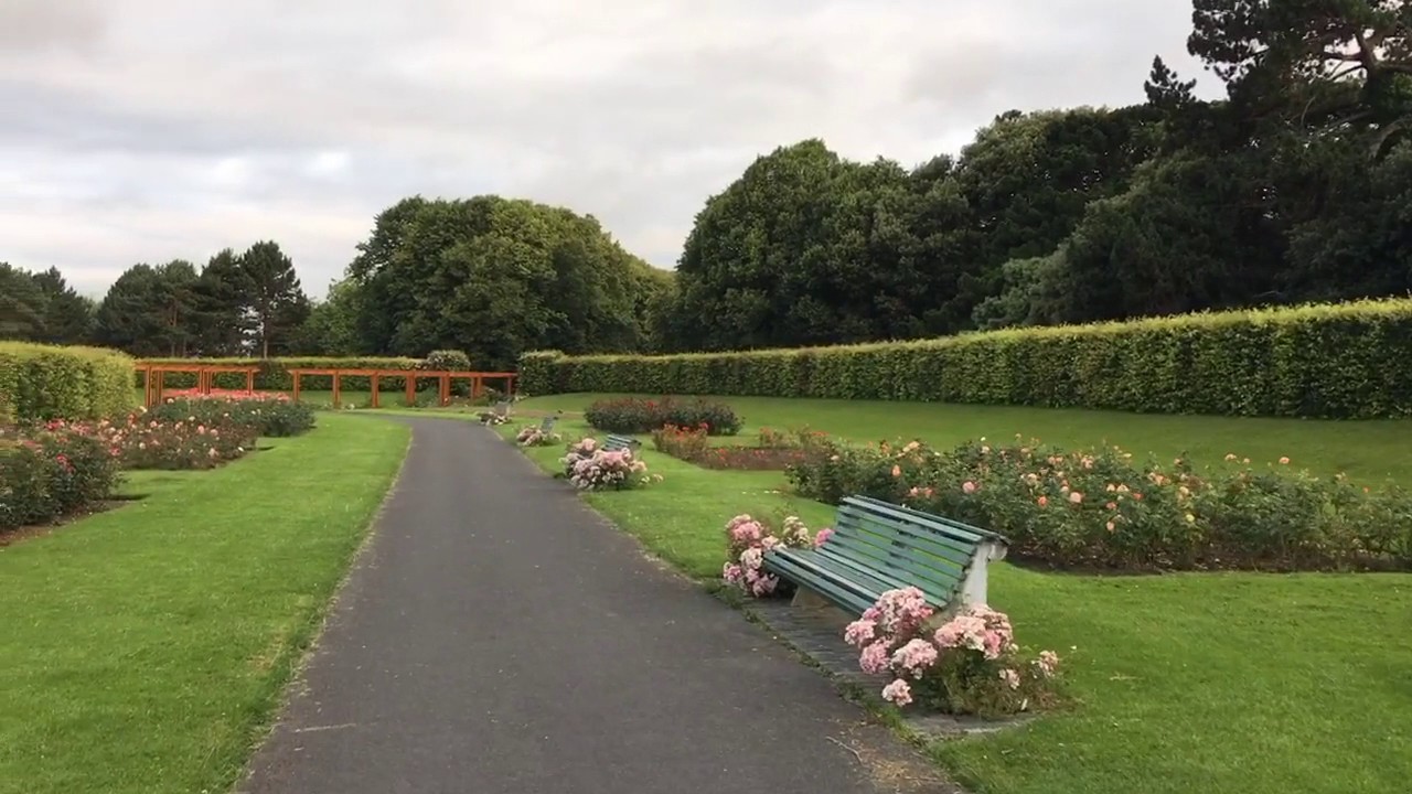 Rose 🌹 garden St. Anne's park 🌲🌴 Dublin ☘️🇮🇪 Ireland YouTube