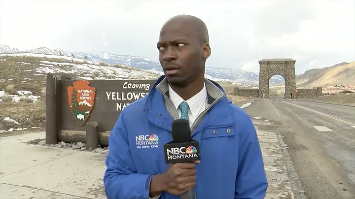 'I ain't messing with you': Reporter flees after spotting herd of bison I ABC7