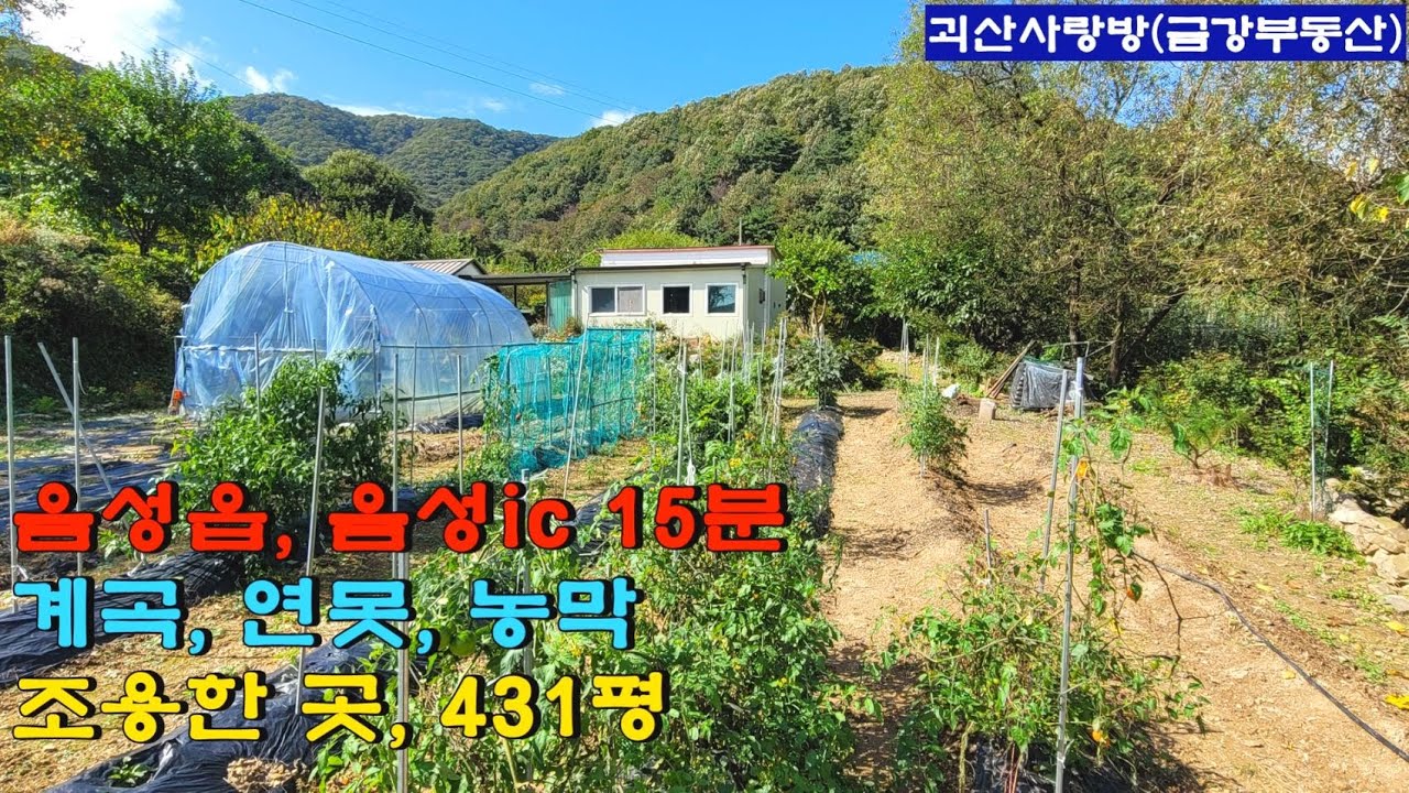 711. 음성군 소이면. 물 맑은 계곡과 연못이 있는 431평 토지와 농막. 음성읍 및 음성ic 15분. 마을을 벗어난 조용한곳.