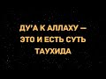 736. Дуа к Аллаху - это и есть суть таухида || Ринат Абу Мухаммад