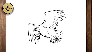 How to draw a vulture flying step by step How to draw a vulture flying step by step