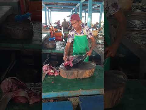 Tuna Fish Cutting By Fredy Tunacutting Shorts