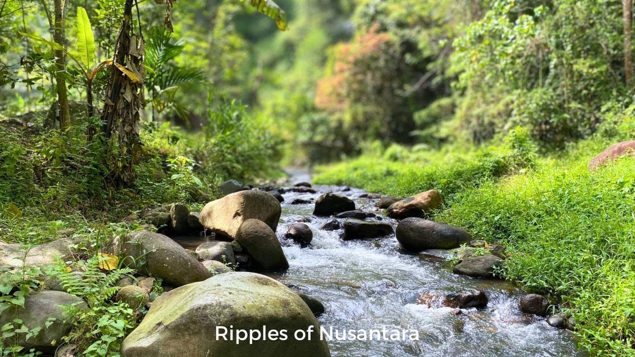 Stream Natural Feature Natural Forest Stream With Steady Water Flow For Deep Sleep, Focus, And ...