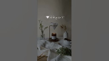 القران الكريم | لا حزن مع الله | تلاوة خاشعة جميلة جدا 🫀🤍 | حالات واتس اب