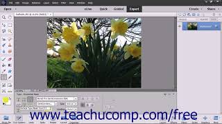 Photoshop Elements 2018 Tutorial Creating a Type Mask Adobe Training