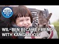 Will-Ben became friends with kangaroos! [The Return of Superman/2019.11.24]
