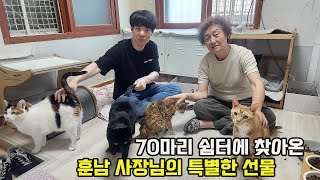 집 비워달라는 통보에 억장무너진 70마리 고양이 강아지 엄마 '겨우 버티는데 눈물나요'