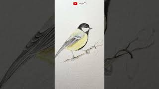 watercolor + colour pencil drawing | water colour pencil drawing | how to draw bird #shorts