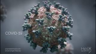 3D Animation: SARS-CoV-2 virus transmission leading to COVID-19