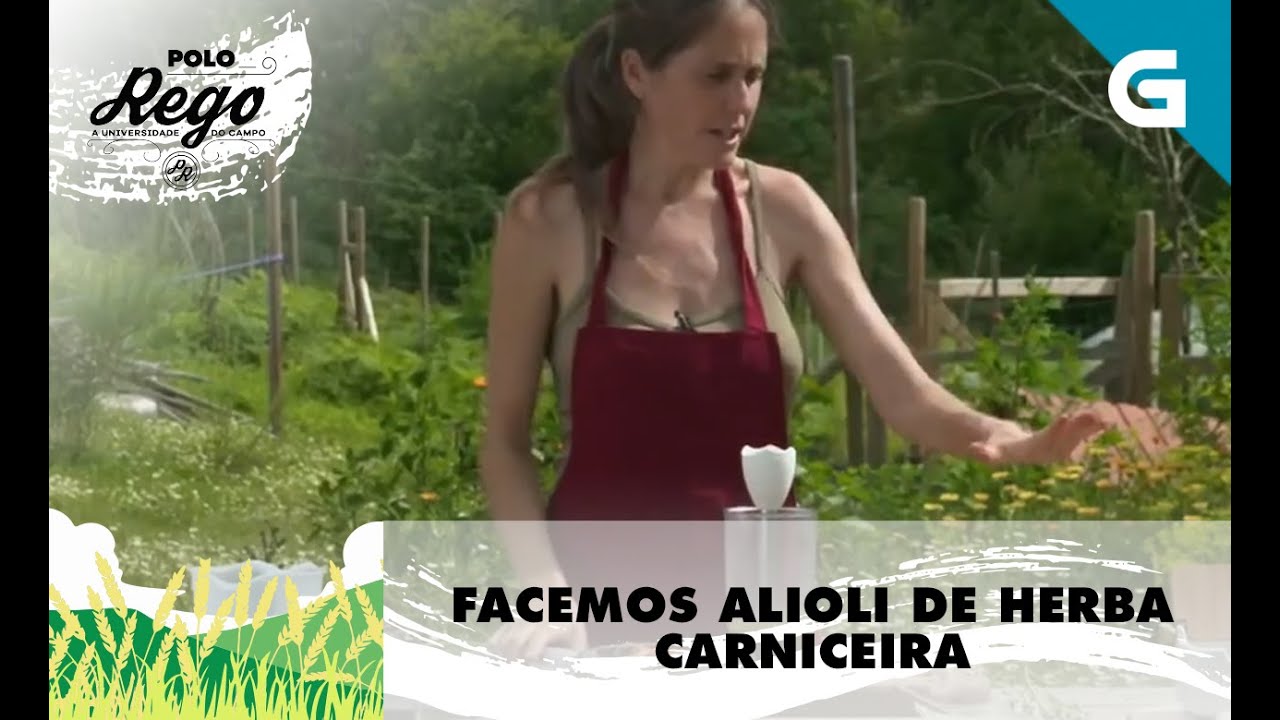 Como facer alioli de herba carniceira