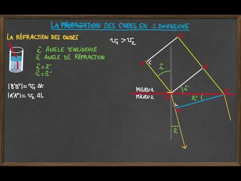 Ondes 2D :