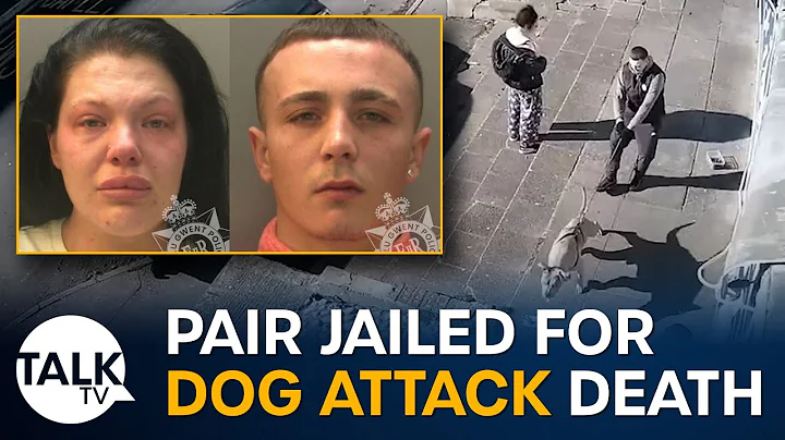 Pair jailed for Caerphilly dog attack death - DayDayNews