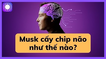 Elon Musk cấy chip vào não người như thế nào?