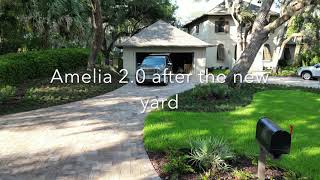 Amelia 2 0 after the new yard   4K